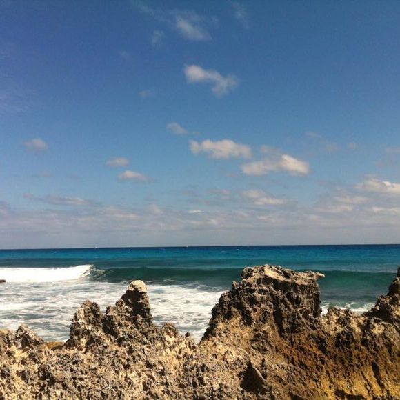 Meet your Posher, Véronique - Picture 1 of 1